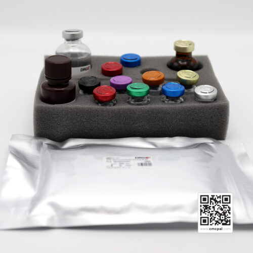 DRG ACTH (Adrenocorticotropic Hormone) ELISA – REF EIA-3647 – CMC